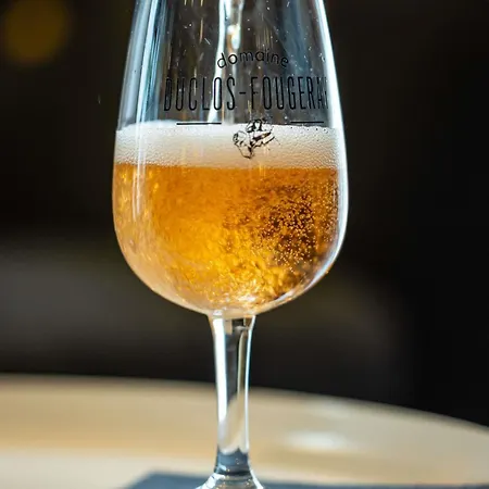 노보텔 스위트 노르망디 4* 루앙