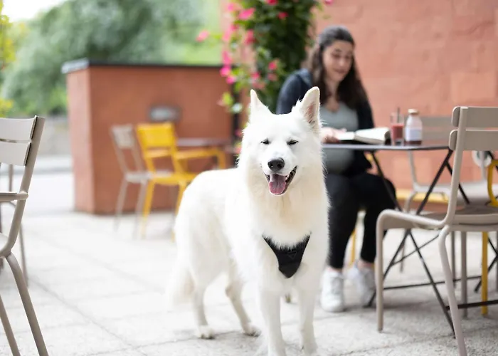 Novotel Normandie 4*