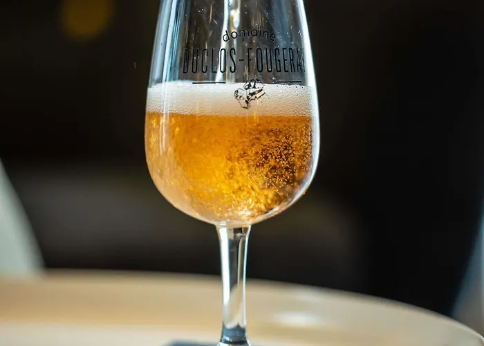 Novotel Normandie 4* روان